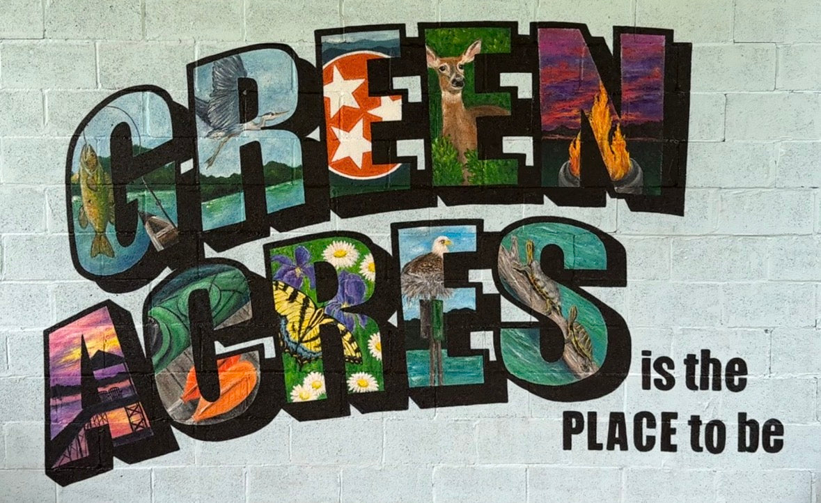 Murals and Window Painting